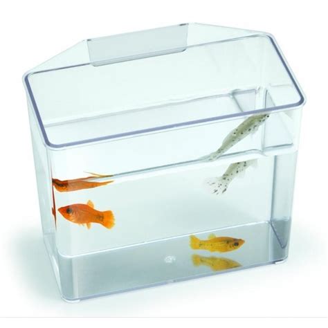 Convalescent Home And Specimen Container For Fish Aquarium Supplies