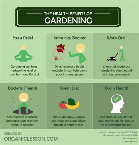 Wonderful Health Benefits Of Gardening Infographic Ecogreenlove