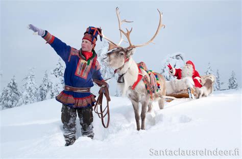 Fotos Renos De Papá Noel En Laponia Santa Claus Rovaniemi