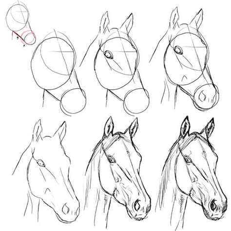 Horse Head Drawing Horse Drawings Art Drawings Sketches Animal