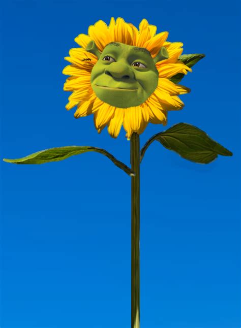 Detail Shrek Sunflower Koleksi Nomer 10