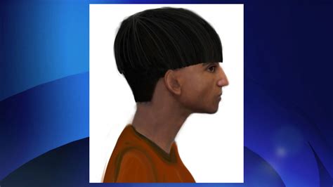 police release composite sketch of suspect in jane finch sexual assault 680 news