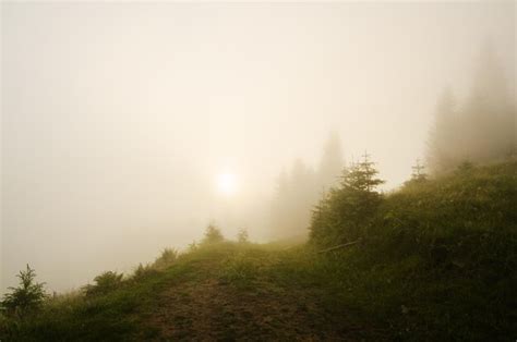 Premium Photo Foggy Morning Landscape