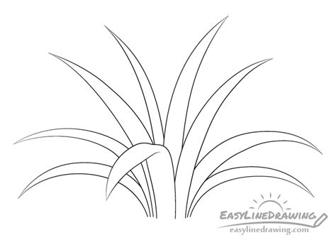 How To Draw Grass Step By Step Easylinedrawing