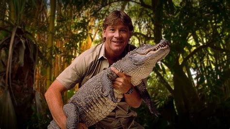 The Crocodile Hunter Best Of Steve Irwin Discovery Uk