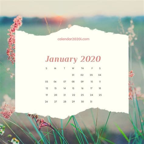 Free Download 2020 Floral Printable Calendar Calendar 2020 800x800