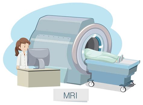 Mri Vector Art, Icons, and Graphics for Free Download