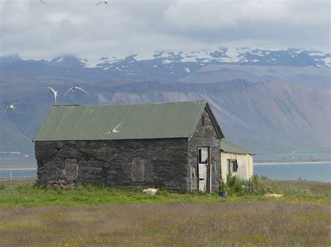 Icelandic architecture | A Farm in Iceland