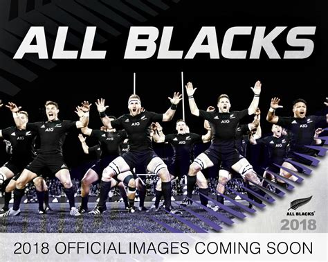 Buy All Blacks 2018 Desk Easel Calendar At Mighty Ape Nz