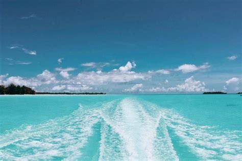10 Things To Experience In The Bahamas The Vale Magazine