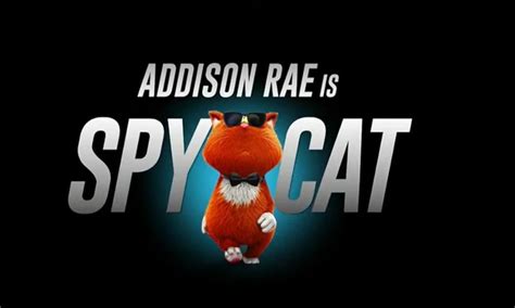 Spy Cat 2018