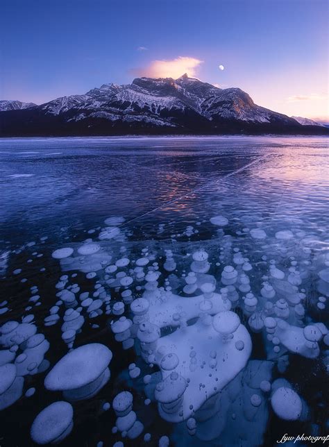 Ice Bubble Fairy Abraham Lake，canadian Rockies Alberta Canada Oc