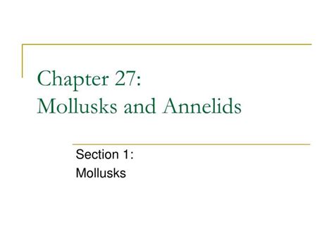 Ppt Chapter 27 Mollusks And Annelids Powerpoint Presentation Free
