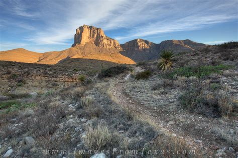 El Capitan Trail In The Morning Light Guadalupe Mountains National