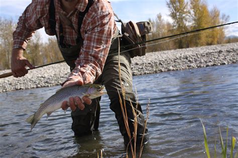 October River Fishing, Who Knew? - Montana Hunting and Fishing Information