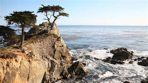 Monterey Carmel And 17 Mile Drive Day Trip From San Francisco Youtube