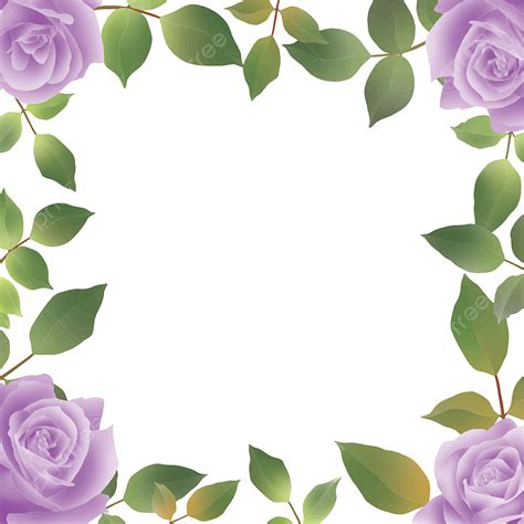 Purple Watercolor Roses Vector Art Png Purple Rose Frame With A Blank