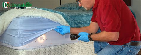 Pest control leads tend to be cheaper and customer acquisition as a whole is usually cheaper and more consistent with inbound leads via search engines and other online mediums than knocking the question is, how are you going to get them, how many will you get, and what will your roi be. How do People Get Bed Bugs? | McDonald Pest Control | 727 ...