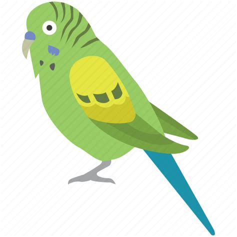 Avian Aviary Bird Budgerigar Budgie Parakeet Pet Icon