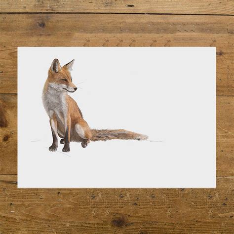 Red Fox By Ben Rothery Wildlife Prints Gallery Art