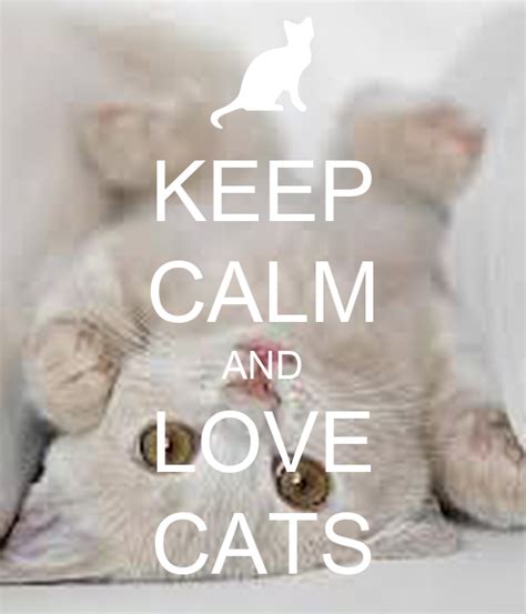 Keep Calm And Love Cats Poster Helo Keep Calm O Matic