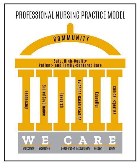 Professional Nursing Practice Model University Of Iowa Hospitals