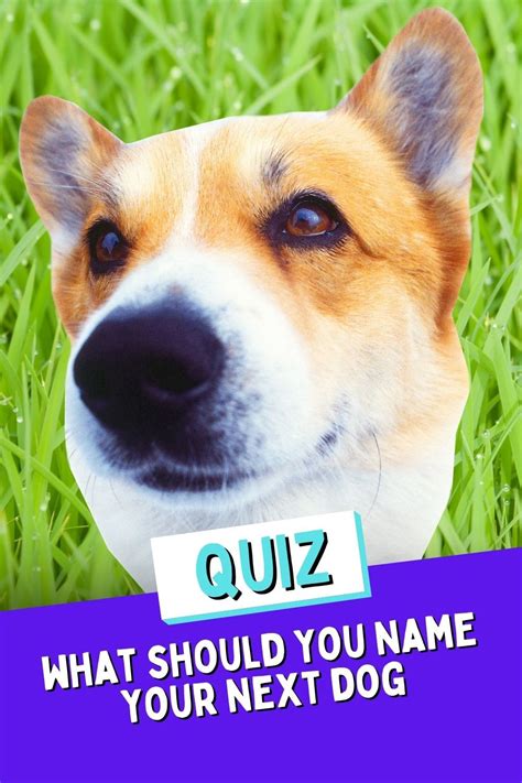 What Should You Name Your Next Dog Dogs Puppy Names Dog Names