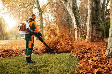 Tips For Clearing Up Autumn Leaves In Your Garden
