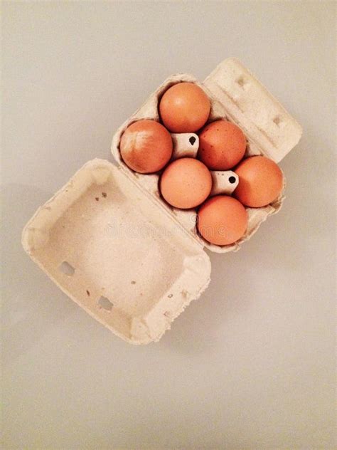 Half Dozen Eggs Stock Image Image Of Container Shell 52115225