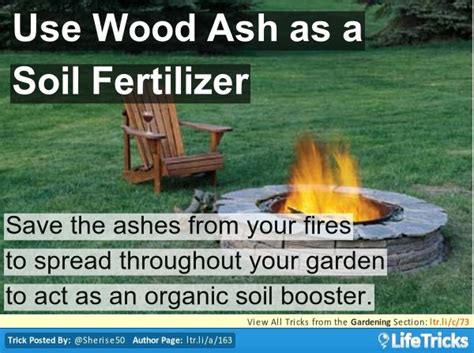 It works perfectly for plants that thrive on a higher ph with lower acid in the soil, but not so much so for. Use Wood Ash as a Soil Fertilizer | Organic gardening soil ...