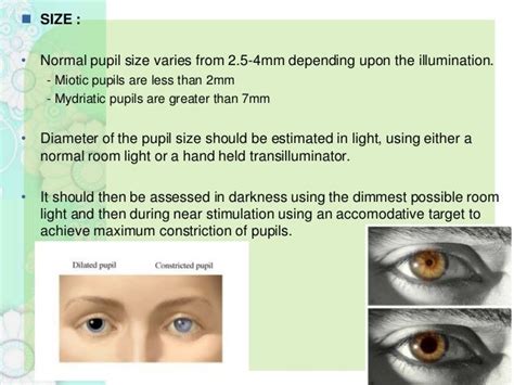 Anatomy Of Pupillary Pathways