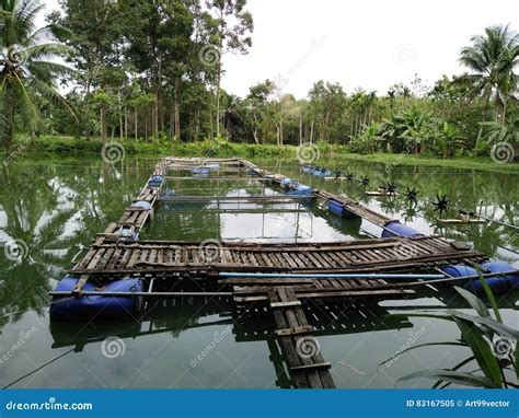 Shrimp Farm In Thailand Stock Image Image Of Water Pond 83167505