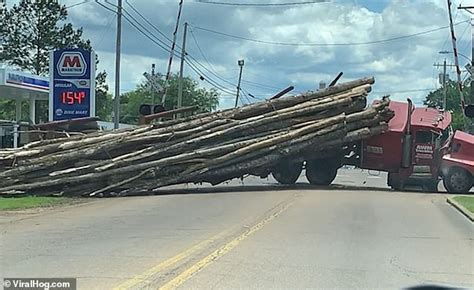 Timber Moment A Logging Truck Tips Over And Spills Its Load As Driver