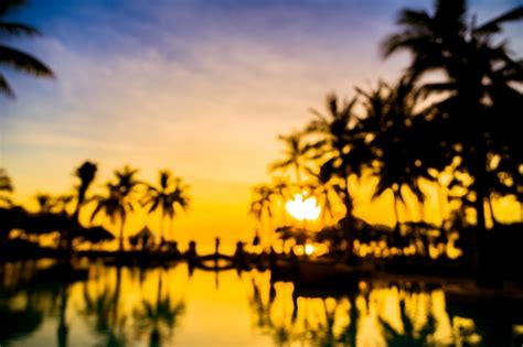 Free Photo Silhouette Coconut Palm Tree Around Swimming Pool