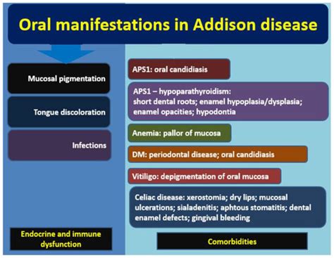 Diagnostics Free Full Text New Approach To Addison Disease Oral