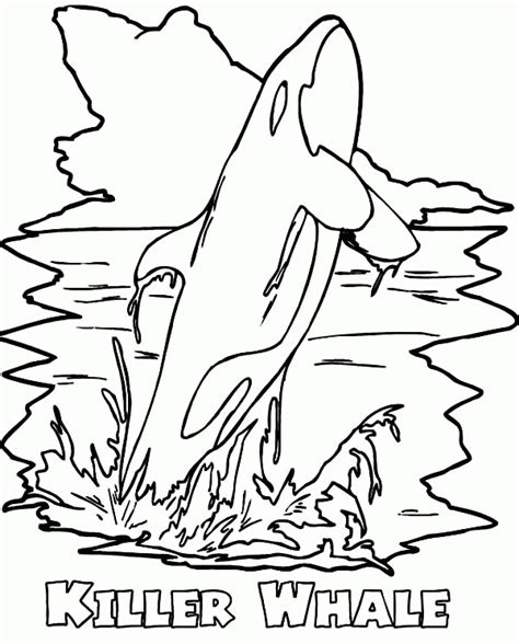 Here is a killer coloring page for days like this! Orca Whale Coloring Pages - Coloring Home