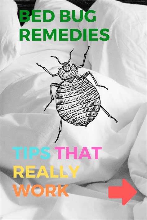How To Do Away With Mattress Bugs Naturally 13 Steps With Photos
