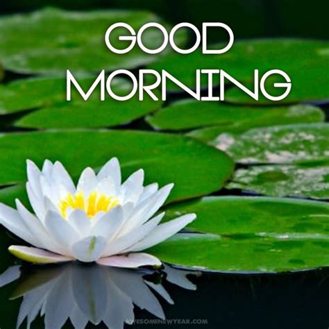 Best Good Morning Quotes For A Special Person - GoodMorningMessage.Com