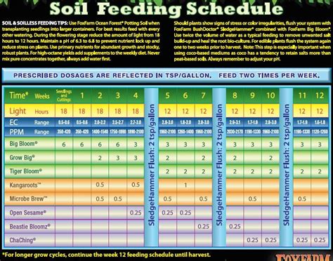 Fox Farms Feeding Scheduleforum Open Topic