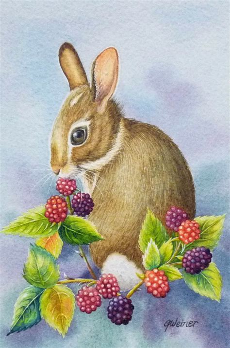 Eastern Cottontail Rabbit And Blackberries Original Watercolor Etsy