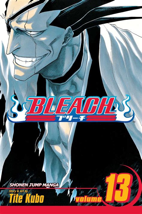 Bleach Vol 13 Book By Tite Kubo Official Publisher Page Simon