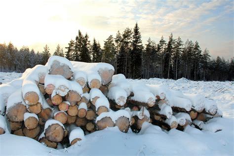 How To Keep Your Firewood Dry In The Winter Weatherall