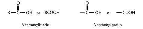 CHEM Carboxylic Acids Organic Chemistry Carboxylic Acid Vinegar