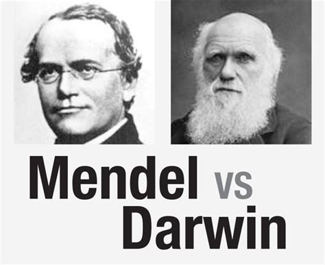 Mendel Versus Darwin