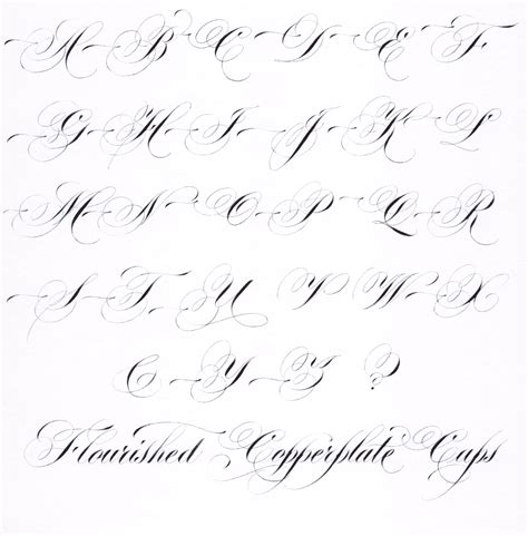 Hybrid Copperplate Script Flourished Capitals Copperplate