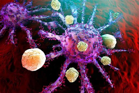 The Immune Cells Inside Tumours Hint At A New Way To Treat Cancers New Scientist