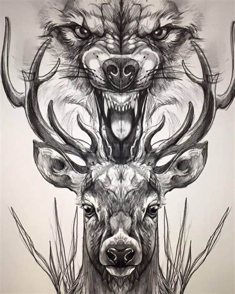 Top 12 Best Wolf And Deer Tattoo Designs Petpress Bird Skull Tattoo
