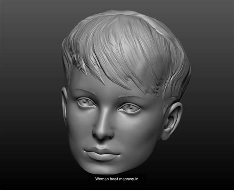 Mannequin Heads 3d Model Collection Cgtrader