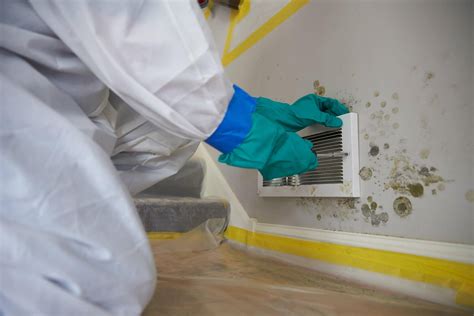 The Mold Remediation Process Lone Star Pro Services