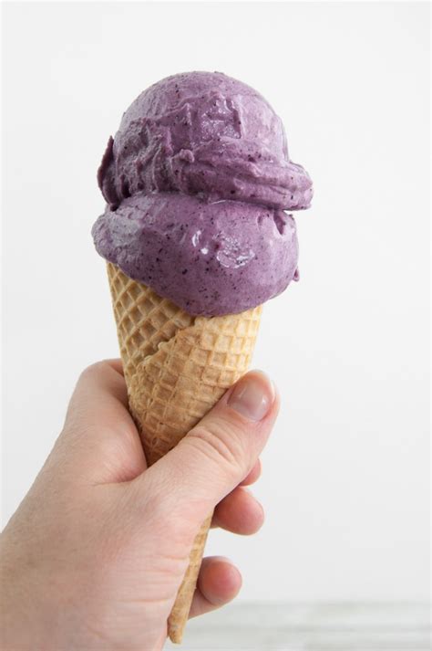 2 Ingredient Vegan Blueberry Ice Cream Recipe Elephantastic Vegan